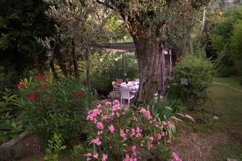 Bastide De La Lauve Bed & Breakfast Magagnosc Eksteriør bilde