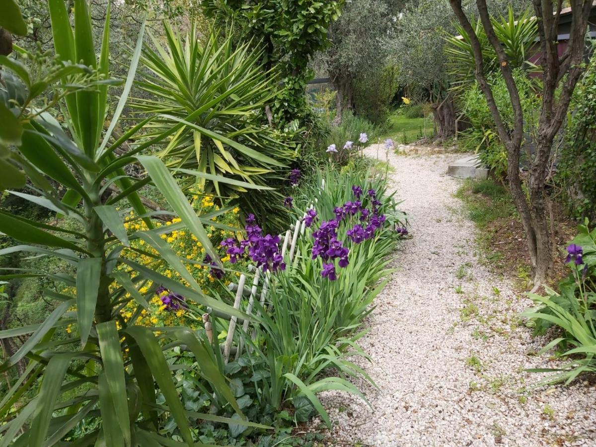Bastide De La Lauve Bed & Breakfast Magagnosc Eksteriør bilde