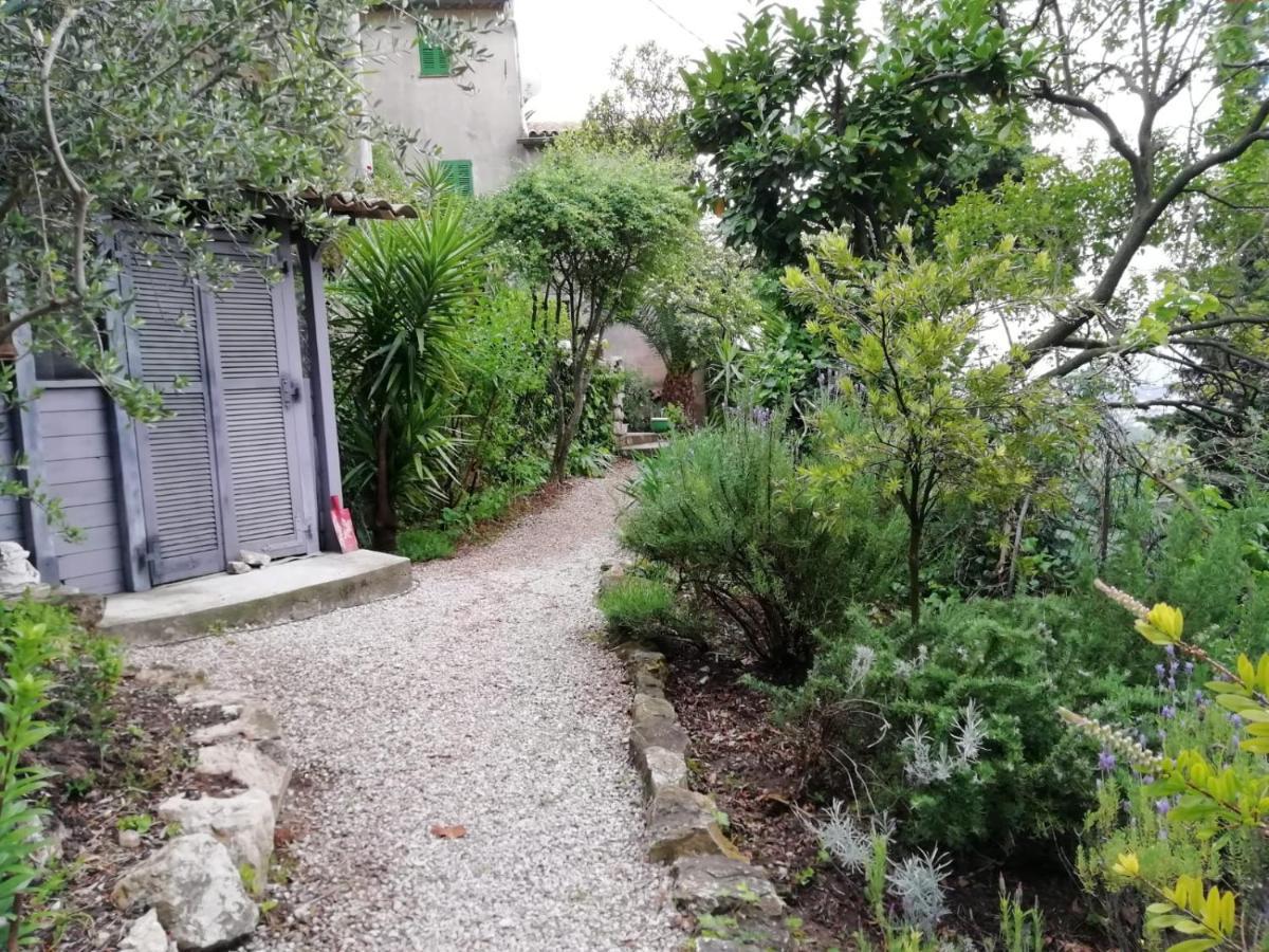 Bastide De La Lauve Bed & Breakfast Magagnosc Eksteriør bilde