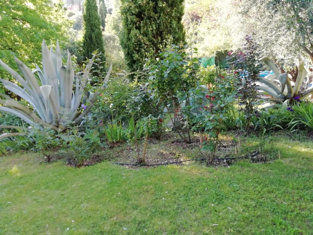 Bastide De La Lauve Bed & Breakfast Magagnosc Eksteriør bilde