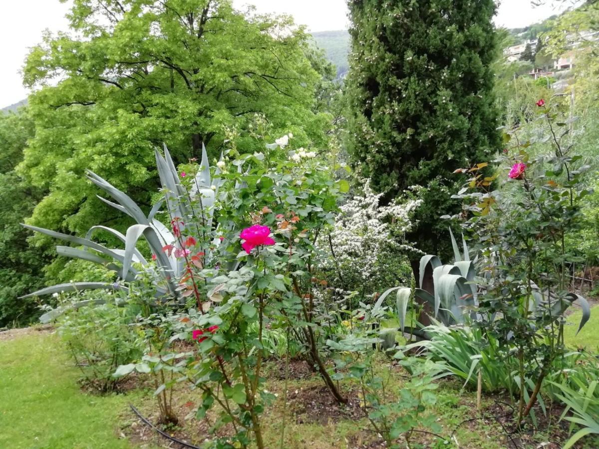 Bastide De La Lauve Bed & Breakfast Magagnosc Eksteriør bilde